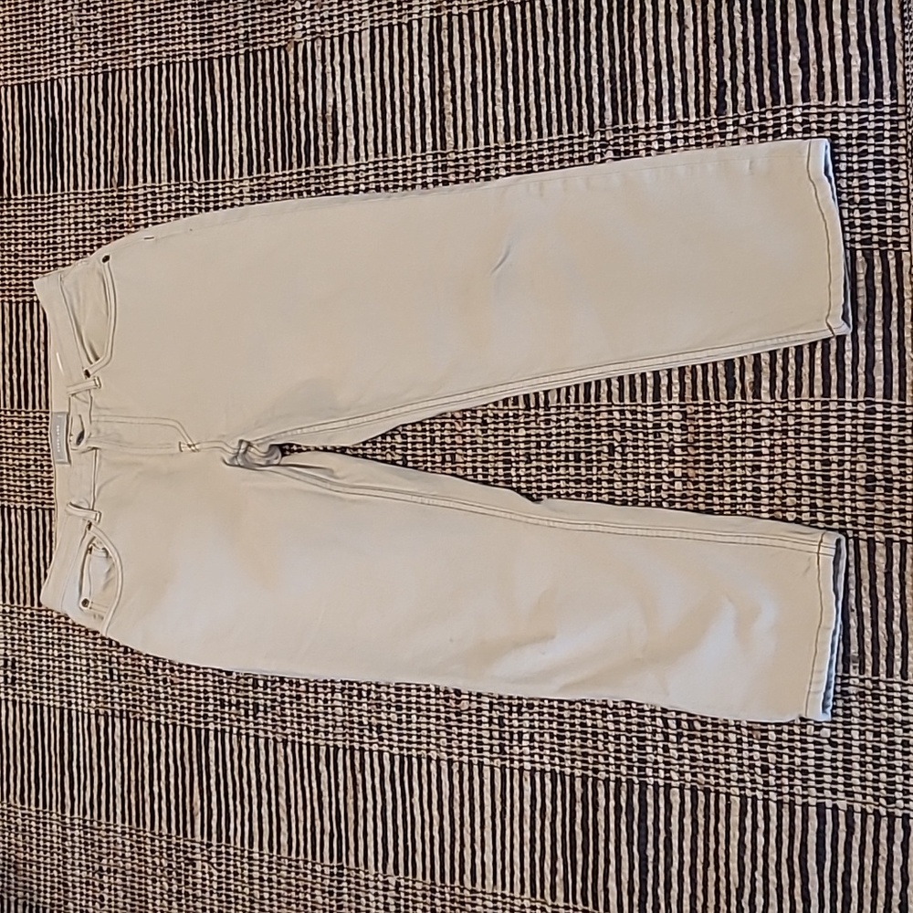 EVERLANE 90s CHEEKY CROPPED BUTTON FLY JEANS